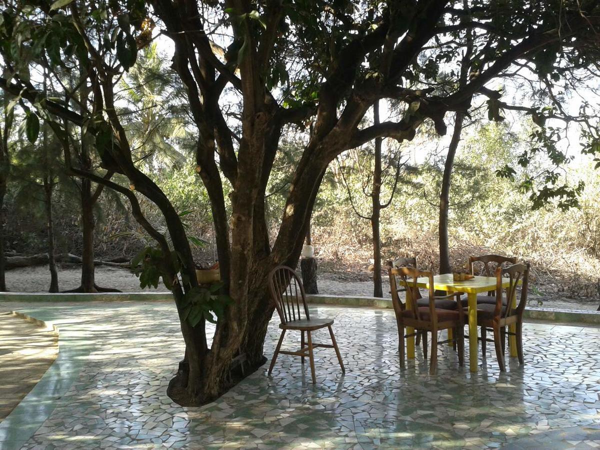 Jungle Beach Resort Sanyang Εξωτερικό φωτογραφία